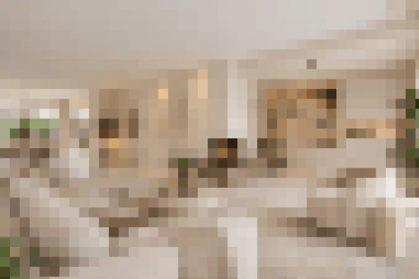 Kapittellaan 124 Maastricht thumbnail 4