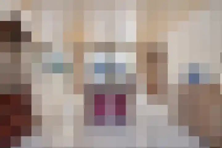 Kapittellaan 130 Maastricht thumbnail 8