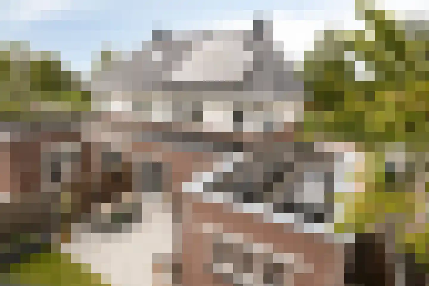 Kapittelstraat 3 IJsselmuiden thumbnail 56