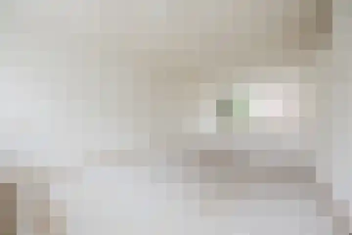 Kapittelstraat 43 Bergen op Zoom thumbnail 8