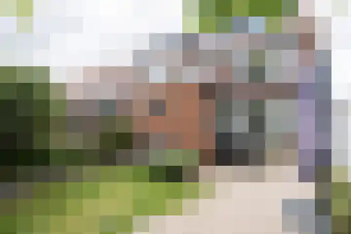 Kapittelstraat 5 Weert thumbnail 41