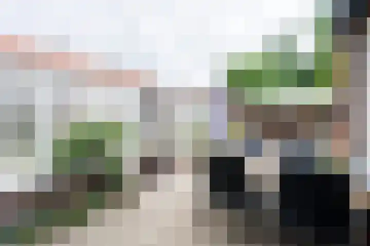 Kapittelstraat 5 Weert thumbnail 46