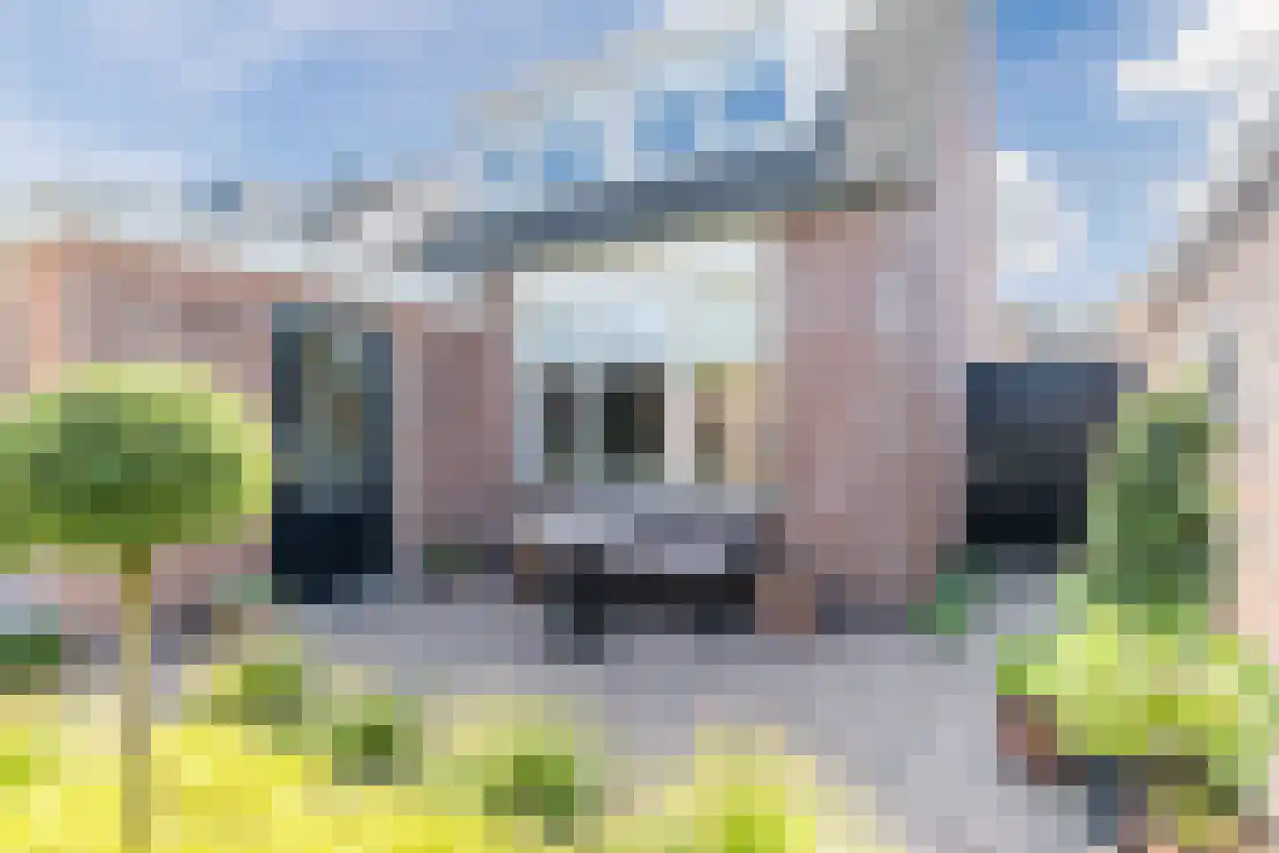 Kapittelstraat 54 Gilze thumbnail 21