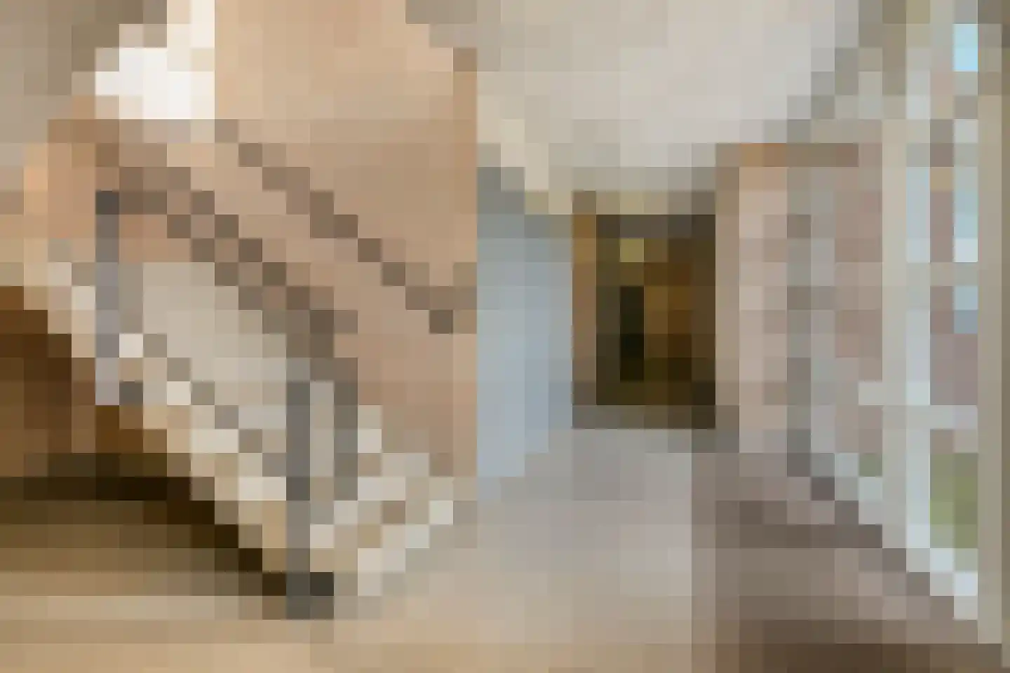 Kapittelstraat 9 B Gilze thumbnail 12