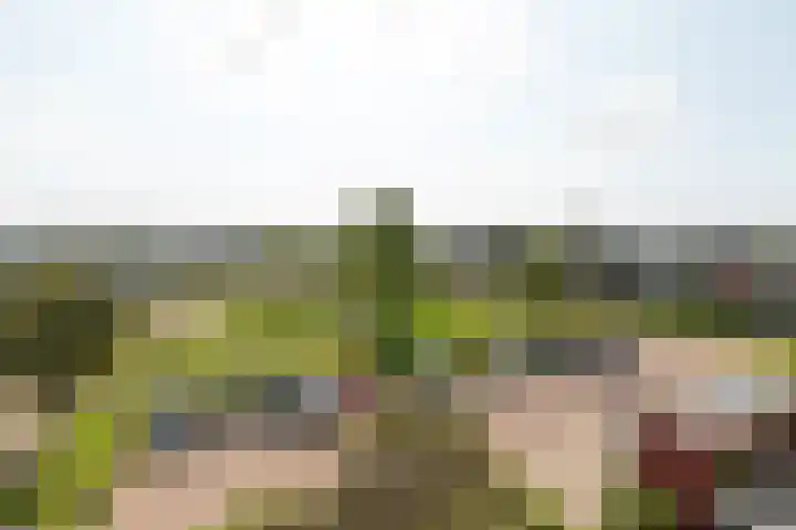 Kapittelweg 10 Hilversum thumbnail 17