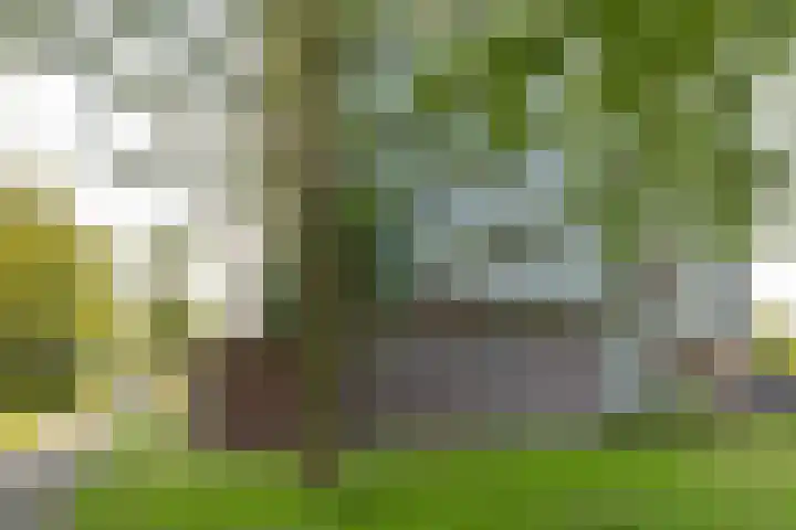 Kapittelweg 10 Hilversum thumbnail 21