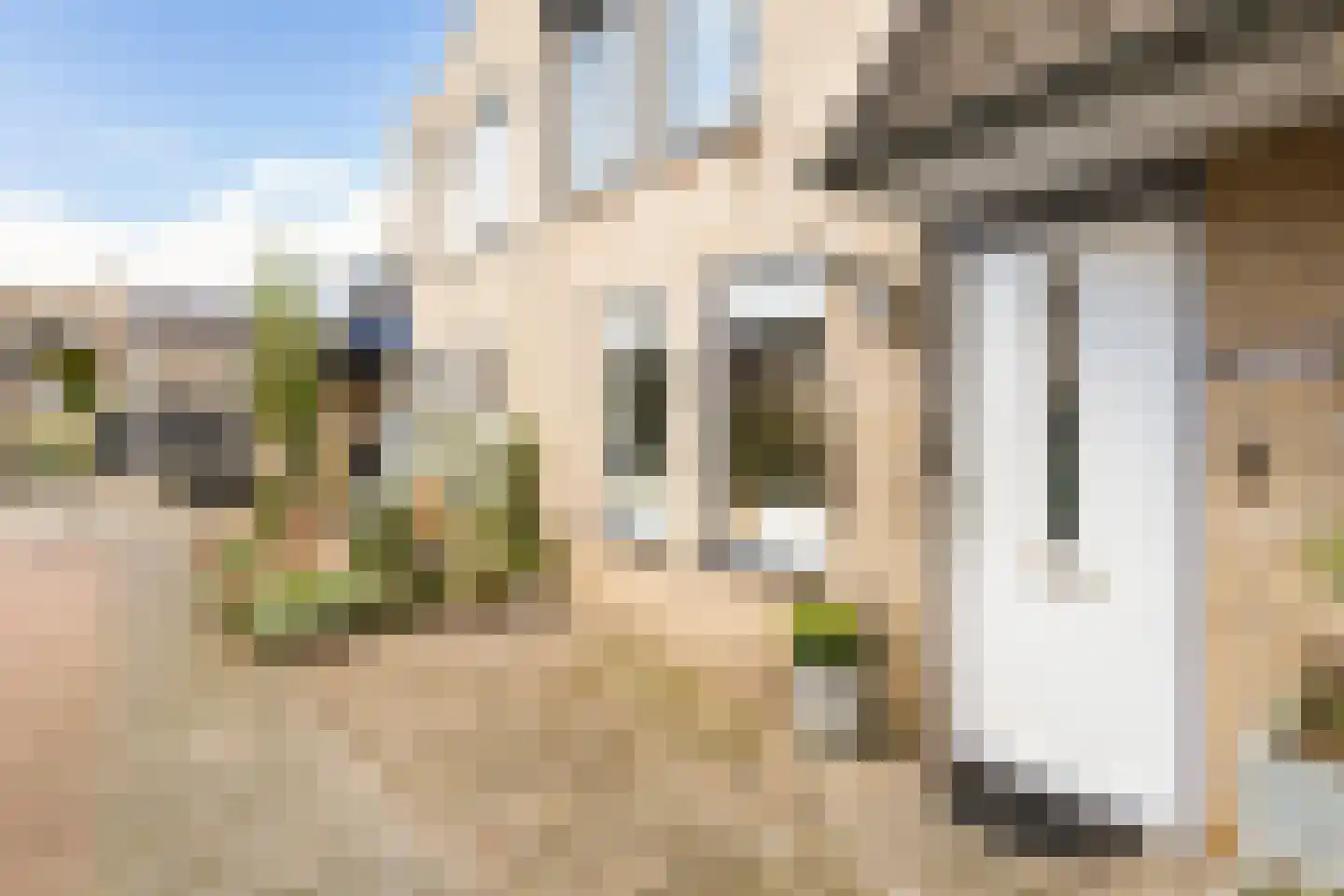 Kapittelweg 14 IJsselstein thumbnail 4