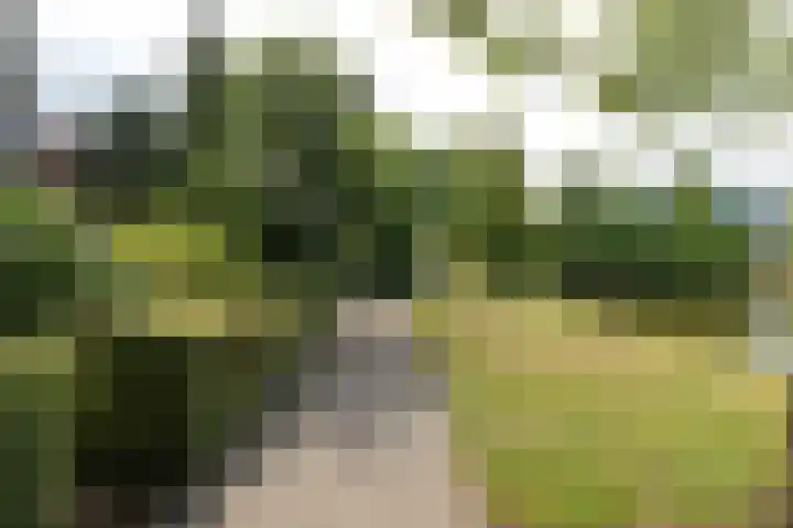 Kapittelweg 19 Hilversum thumbnail 24
