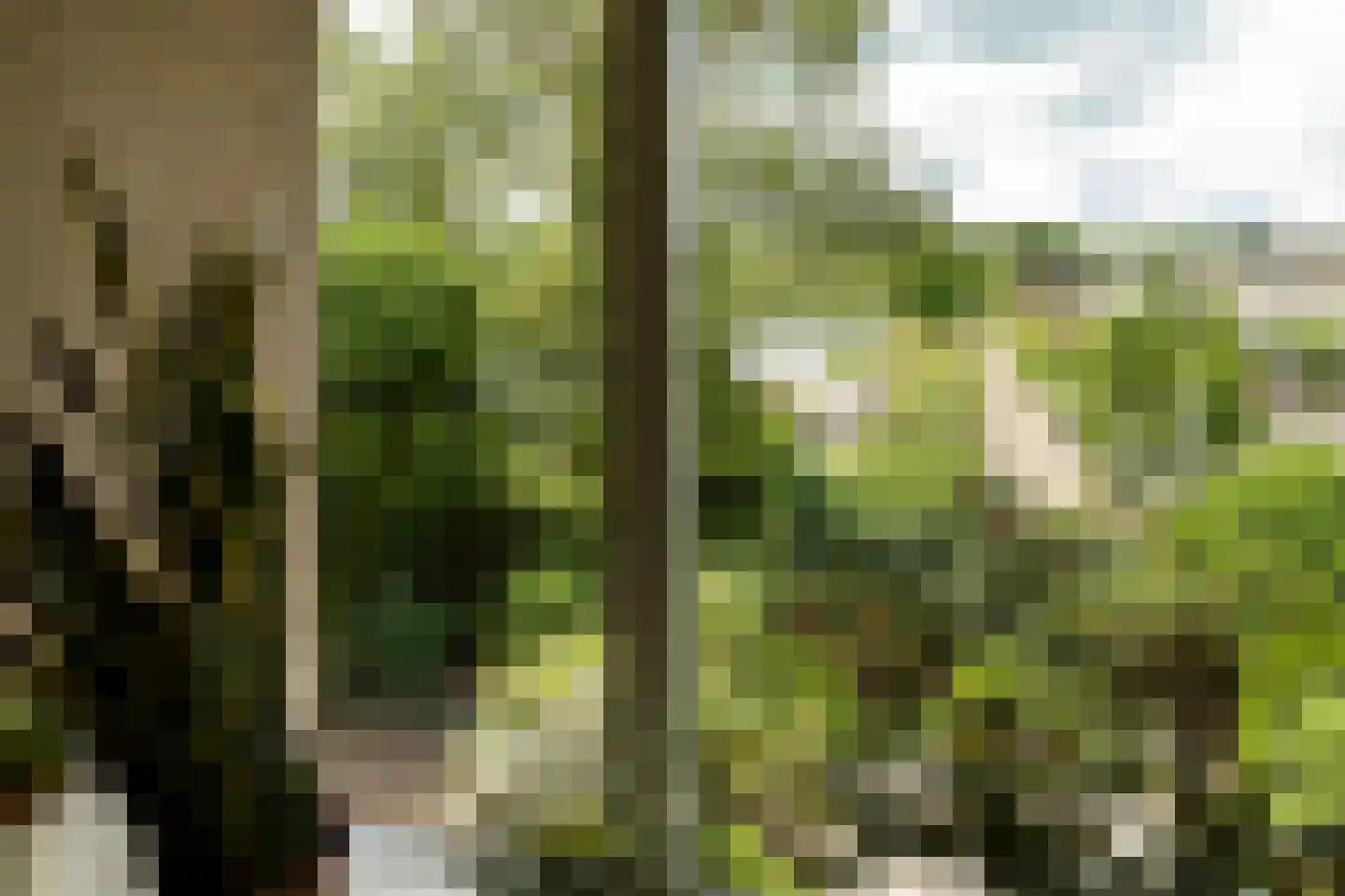 Kapittelweg 37 Hilversum thumbnail 12