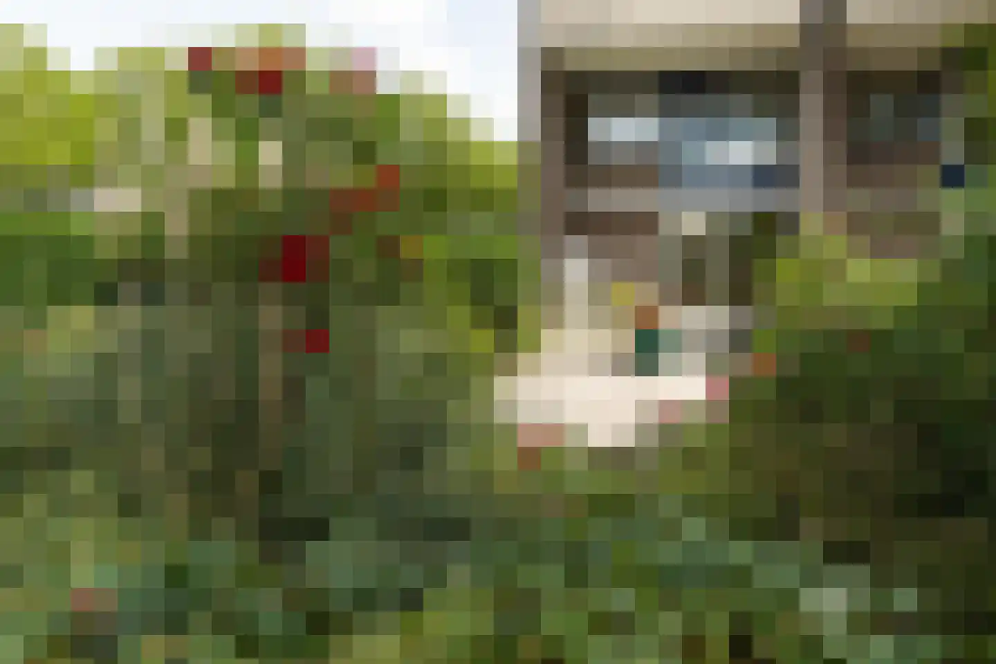 Kapittelweg 37 Hilversum thumbnail 25