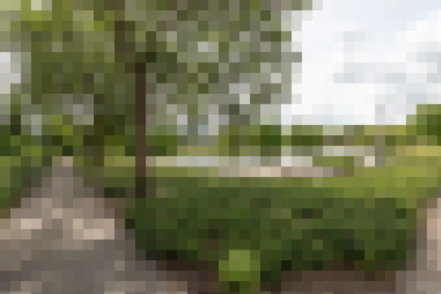 Kapittelweg 37 Hilversum thumbnail 27