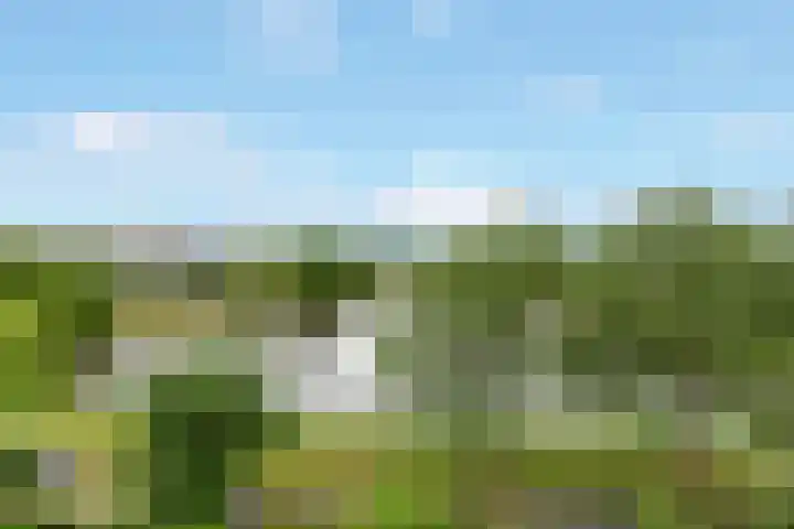 Kapittelweg 69 Hilversum thumbnail 13