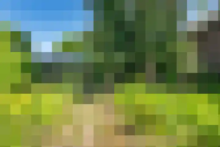 Kapolder 5 Wijlre thumbnail 12