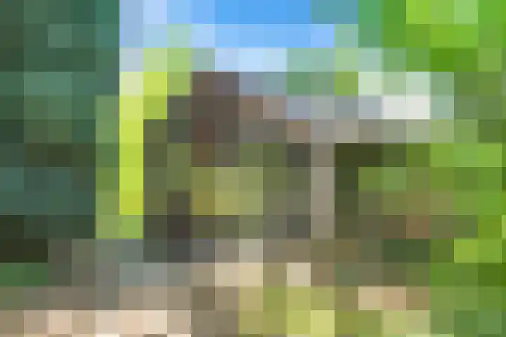 Kapolder 5 Wijlre thumbnail 13