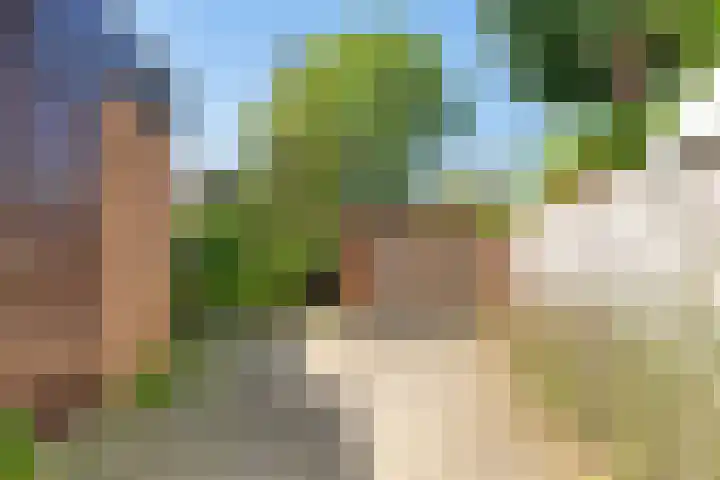 Kapolder 5 Wijlre thumbnail 15