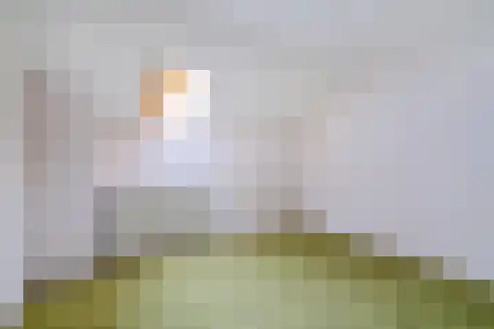 Kapolder 5 Wijlre thumbnail 21