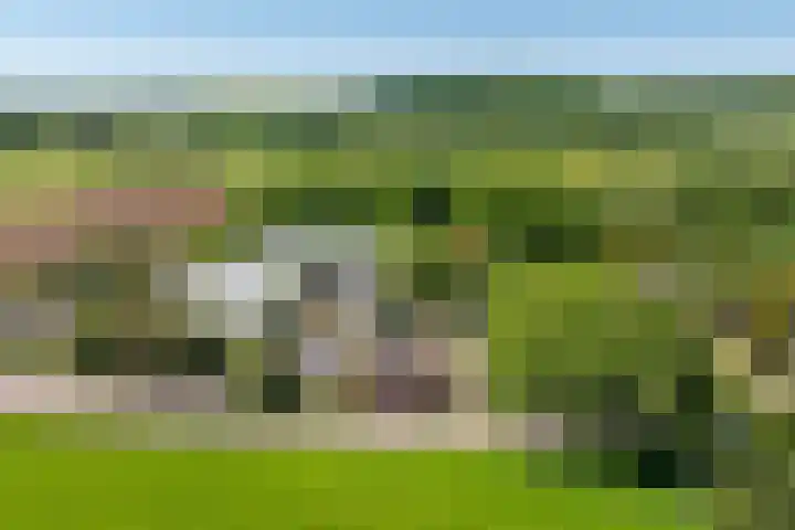 Kapolder 5 Wijlre thumbnail 24