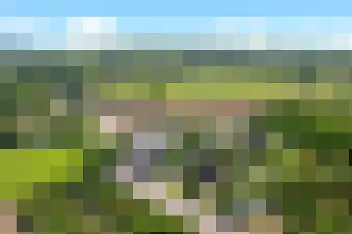 Kapolder 5 Wijlre thumbnail 25