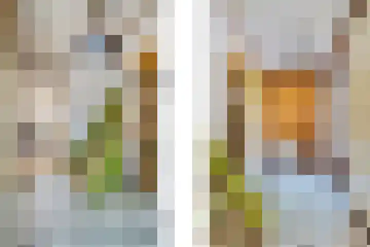 Kapolder 5 Wijlre thumbnail 4