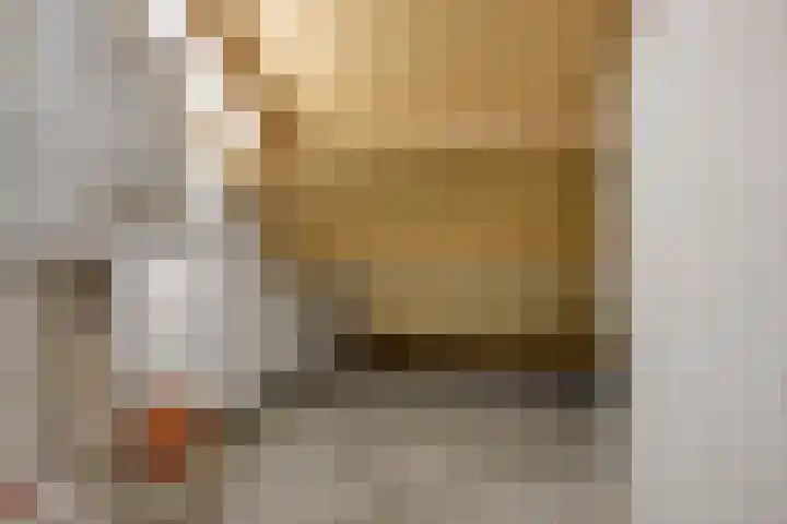 Kappeijnestraat 21 Oss thumbnail 19