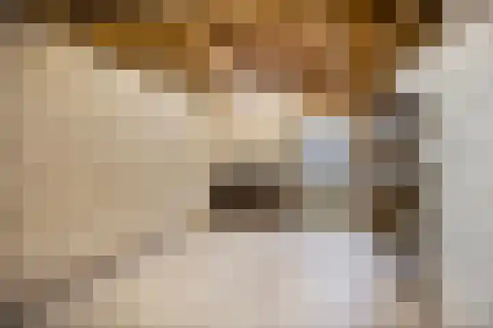 Kappeijnestraat 21 Oss thumbnail 24