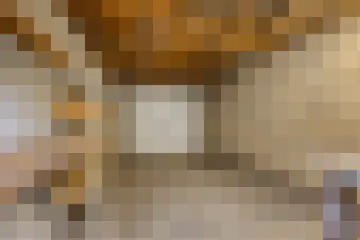 Kappeijnestraat 21 Oss thumbnail 25