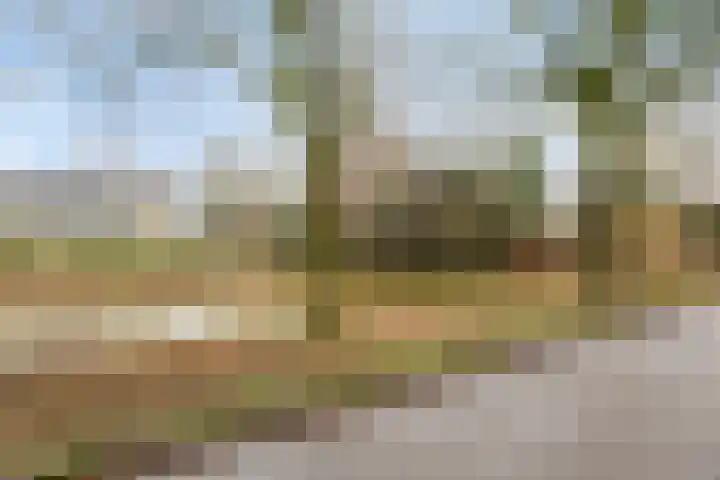 Kappeijnestraat 21 Oss thumbnail 28