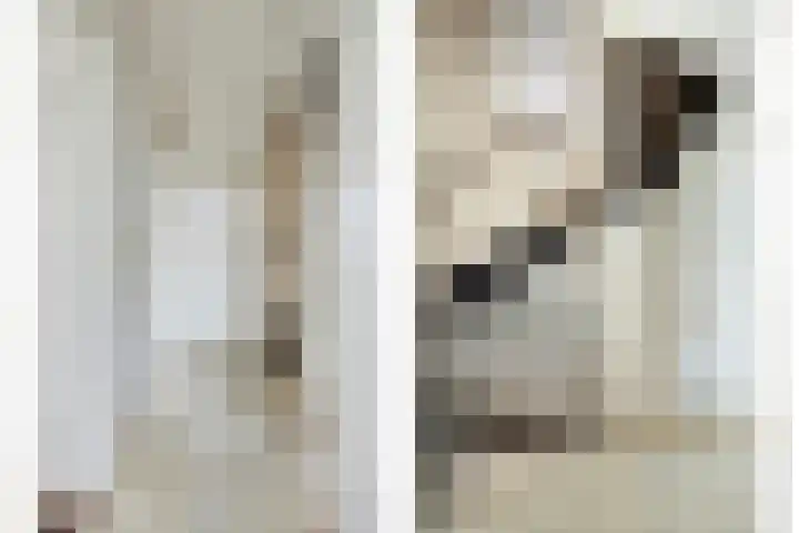 Kappeijnestraat 21 Oss thumbnail 8