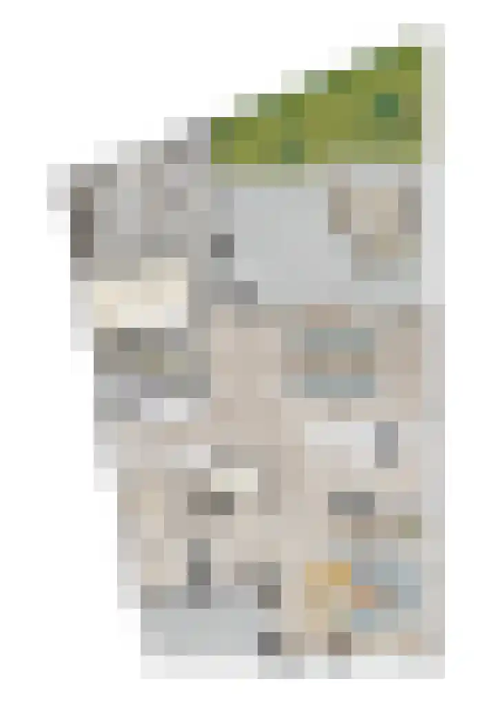 Kappelhofsweg 10 Denekamp thumbnail 6