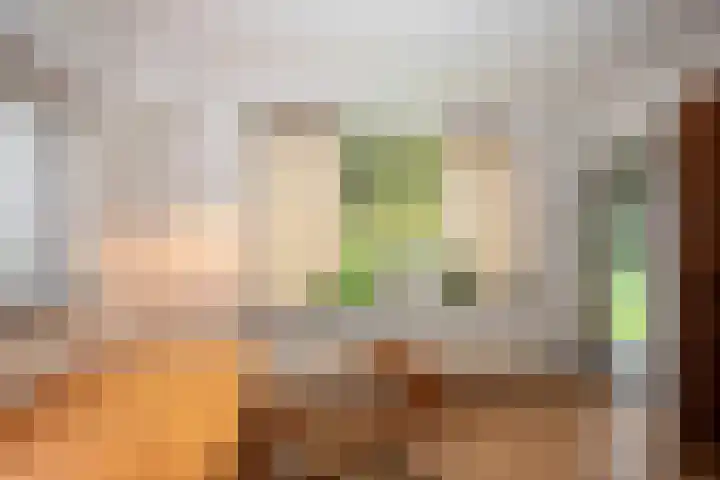 Kappelhofsweg 26 Ambt Delden thumbnail 10