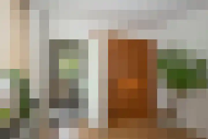 Kappelhofsweg 26 Ambt Delden thumbnail 11