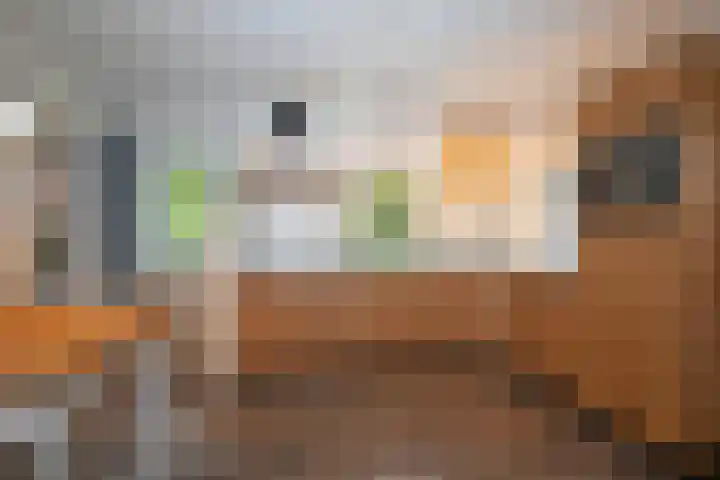 Kappelhofsweg 26 Ambt Delden thumbnail 18