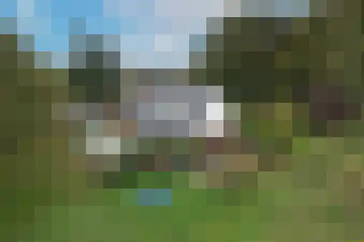 Kappelhofsweg 26 Ambt Delden thumbnail 36