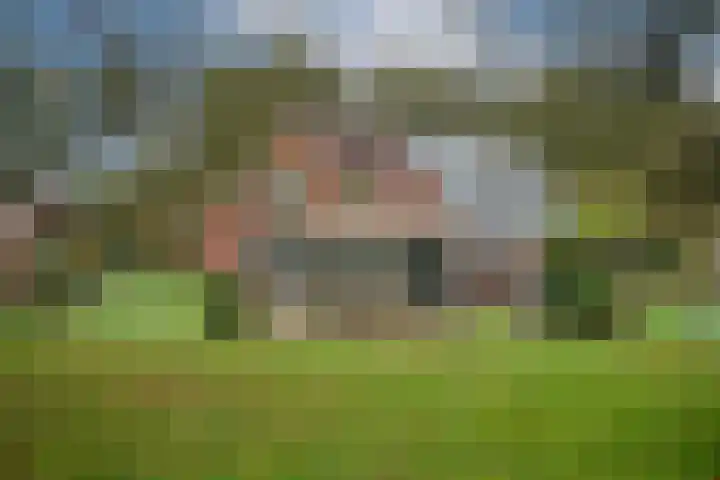 Kappelhofsweg 26 Ambt Delden thumbnail 37