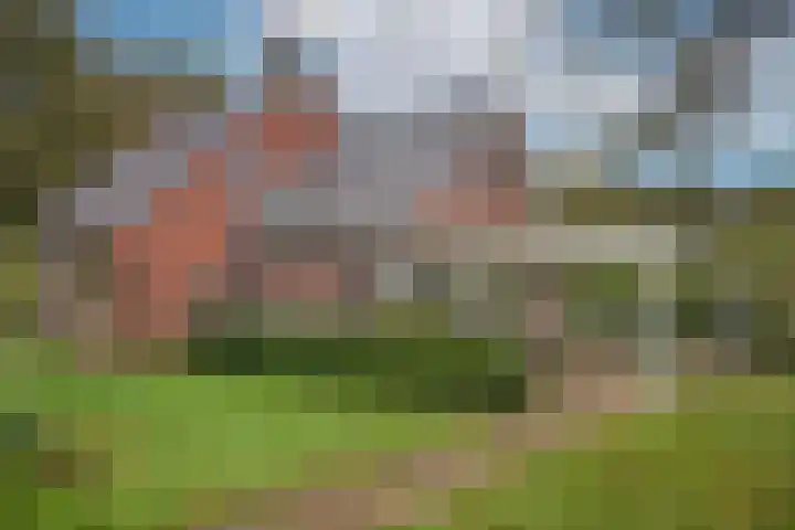 Kappelhofsweg 26 Ambt Delden thumbnail 38