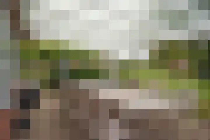 Kappelhofsweg 26 Ambt Delden thumbnail 39
