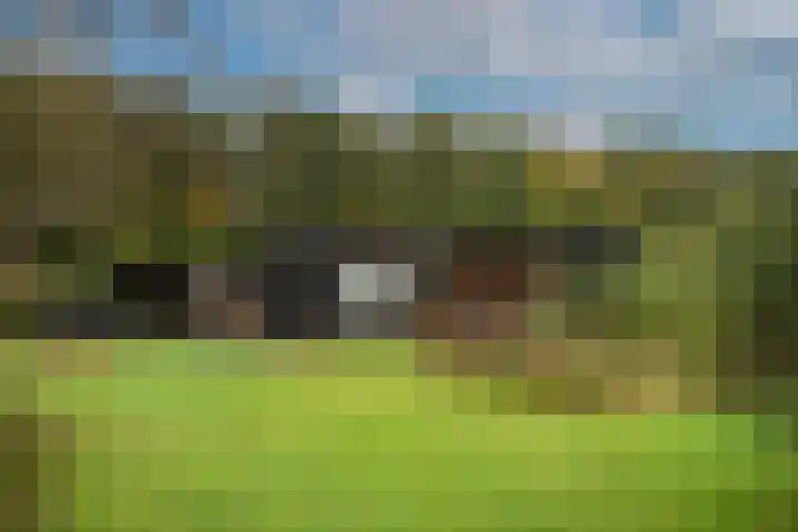 Kappelhofsweg 26 Ambt Delden thumbnail 4