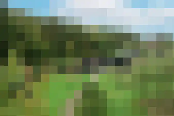 Kappelhofsweg 26 Ambt Delden thumbnail 40