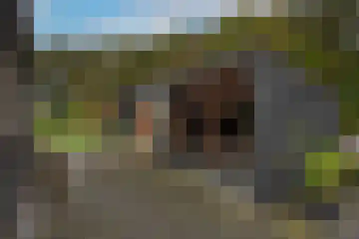 Kappelhofsweg 26 Ambt Delden thumbnail 42