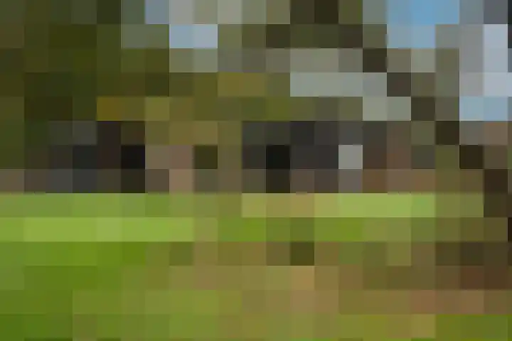 Kappelhofsweg 26 Ambt Delden thumbnail 43