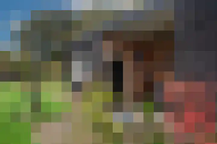 Kappelhofsweg 26 Ambt Delden thumbnail 44