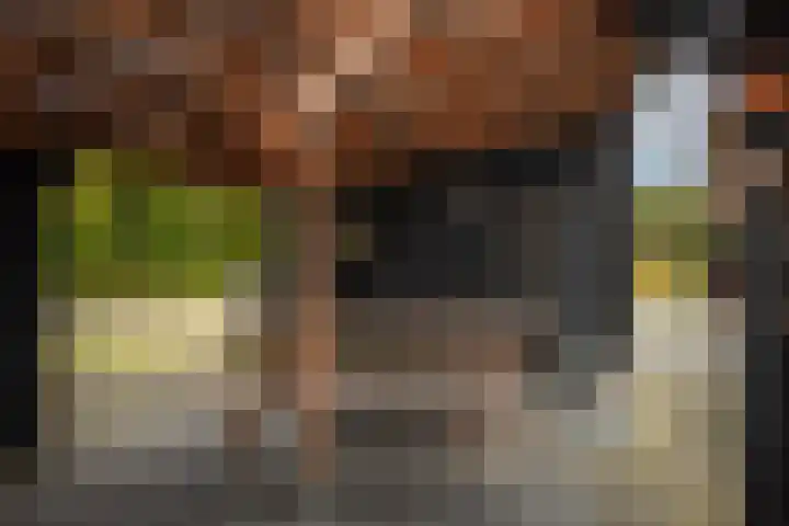 Kappelhofsweg 26 Ambt Delden thumbnail 45