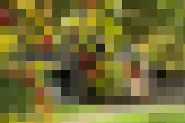 Kappelhofsweg 26 Ambt Delden thumbnail 46