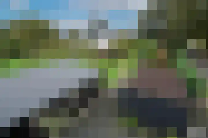 Kappelhofsweg 26 Ambt Delden thumbnail 47