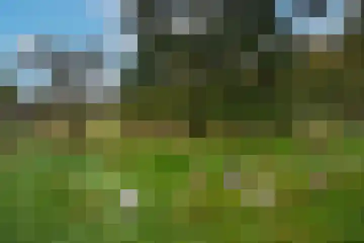 Kappelhofsweg 26 Ambt Delden thumbnail 48