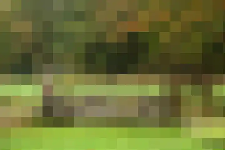 Kappelhofsweg 26 Ambt Delden thumbnail 49