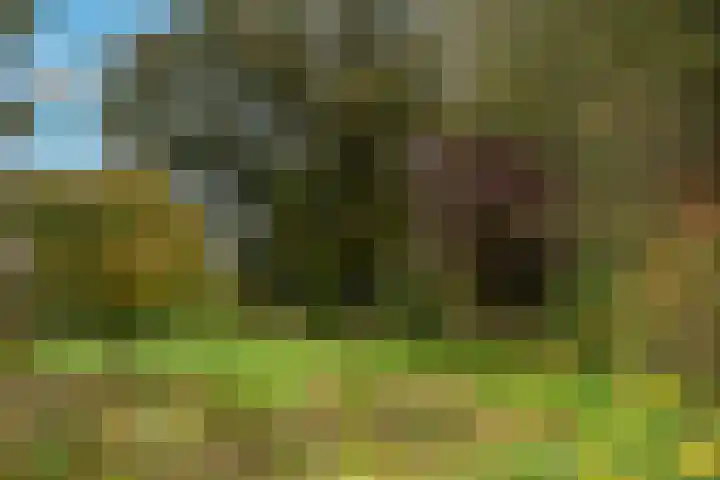 Kappelhofsweg 26 Ambt Delden thumbnail 50