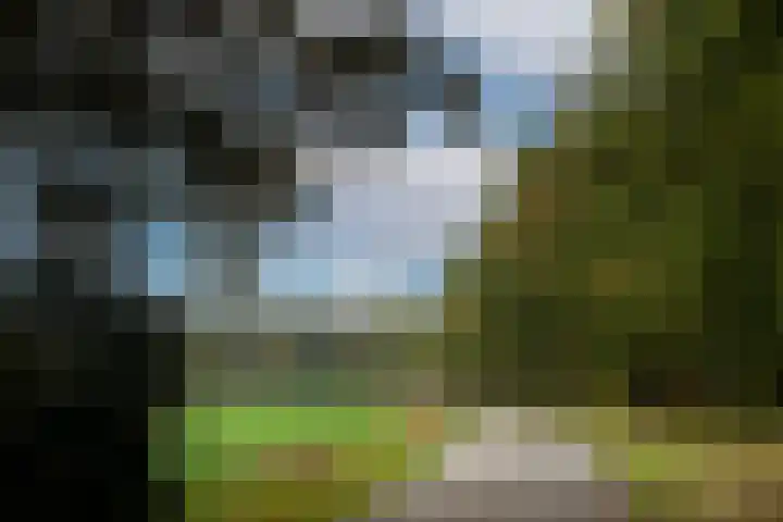 Kappelhofsweg 26 Ambt Delden thumbnail 51