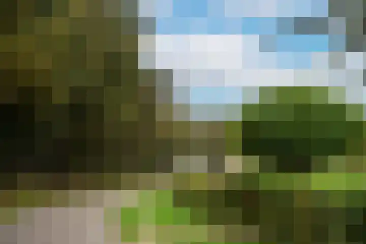 Kappelhofsweg 26 Ambt Delden thumbnail 52