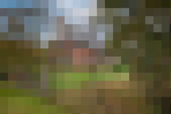Kappelhofsweg 26 Ambt Delden thumbnail 6